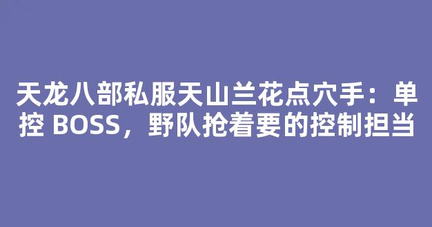 天龙八部私服天山兰花点穴手：单控 BOSS，野队抢着要的控制担当